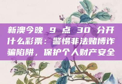 新澳今晚 9 点 30 分开什么彩票：警惕非法赌博诈骗陷阱，保护个人财产安全